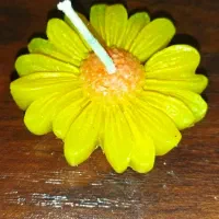 شمع|صنایع دستی و سایر لوازم تزئینی|کاشان, دروازه فین|دیوار