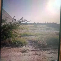 بوشهر-عالی-چنگی-زائرابراهیمی