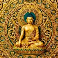 انجام تمامیه دعا توسط سید رایگان