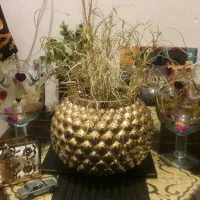 دکوری منزل|صنایع دستی و سایر لوازم تزئینی|تهران, سید خندان (جلفا)|دیوار
