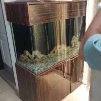 آکواریوم|ماهی|چهاردانگه (تهران), |دیوار
