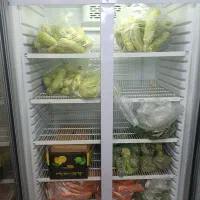 یخچال مغازه ایستاده|فروشگاه و مغازه|قم, شهرک مهدیه (مدرس)|دیوار