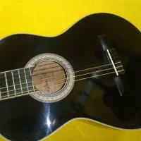 گیتار اریاAk20bk