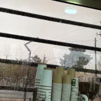 نیروی کار خانم