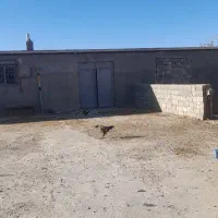 رهن اجاره سالن دامداری