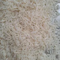 برنج هاشمی معطر محلی