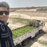 نهال انگور رو از منه تولید کننده بخر.. نه دلال..|خدمات باغبانی و درختکاری|تهران, آرژانتین|دیوار