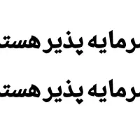 جذب سرمایه گذار(فقط ده میلیون تومان)