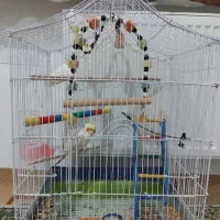 باعرض سلام ادب واحترام خدمت عوامل دیوار