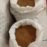 بذر ینجه محلی