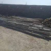 خریدار چوب به صورت نقدی در باسکول|خدمات باغبانی و درختکاری|شیروان (خراسان), |دیوار