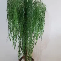 گل مصنوعی بید مجنون