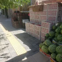فرصت طلایی گوجه درجه یک، سلطان گوجه