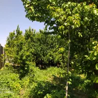 فروش خانه ویلایی ۴ متری در شهرک بهاران (ویره)|فروش خانه و ویلا|شهریار, شهرک بهاران (ویره)|دیوار