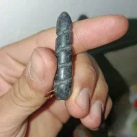 حبحاب|کلکسیون اشیاء عتیقه|اصفهان, کساره|دیوار