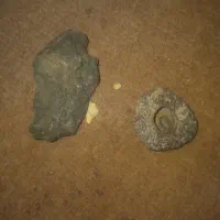 شهاب سنگ و فسیل با قدمت زیاد