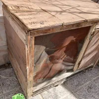 قفس مرغ|لوازم جانبی حیوانات|اصفهان, حصه جنوبی|دیوار