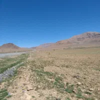 زمین زراعی