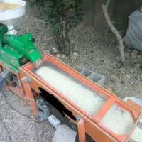 شالیکوبی