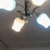 دوعدد لوستر