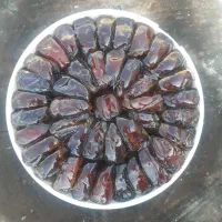 توزیع خرما و رطب سطلی و معجون های خرمایی در شیراز