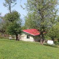 فروش فوری زمین مسکونی|فروش زمین و ملک کلنگی|بره‌سر, |دیوار