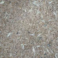 حیوانات گندم بزری