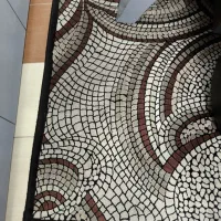 فرش 6 متری ساوین 700 شانه|فرش|بروجرد, |دیوار