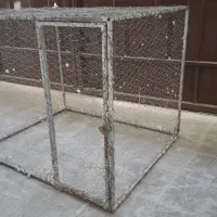 قفس مناسب همه چی