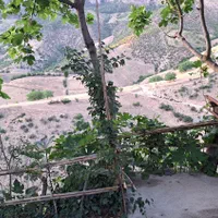اجاره روزانه/هفتگی/ماهانه آپارتمان ۱۲۰ متری|اجارهٔ کوتاه‌مدت آپارتمان و سوئیت|رامیان, |دیوار