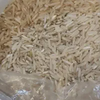 برنج هاشمی و فجر رستم