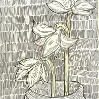 ثبت نام کلاسهای نقاشی ،تصویرسازی، خلاقیت ، نگارگری