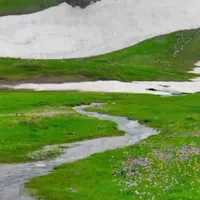 استخدام جهت تمیز کاری و نظافت ساختمان