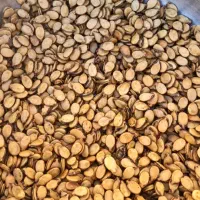 خوردنی و آشامیدنی