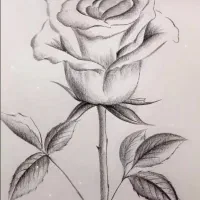 طراحی چهره جدید|تابلو، نقاشی، عکس|زابل, |دیوار