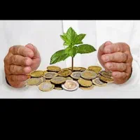 فروش چوب ضامنوامازدواج