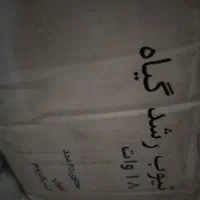 لامپ رشد گیاه|گل و گیاه طبیعی|شیراز, بریجستون|دیوار