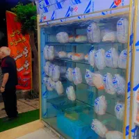 یخچال ۲متری ۳در سالم