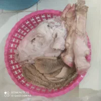 کله پاچه سیرابی پاک شده کیلوی ۴۰۰هزار|خوردنی و آشامیدنی|فردیس, شهرک ارم|دیوار