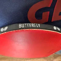 راکت و توپ و تجهیزات تنیس روی میز|تجهیزات ورزشی|شیراز, شهرک بزین|دیوار