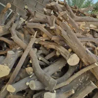 چوب مرکبات شما نقدا خریدارم|خدمات باغبانی و درختکاری|عنبرآباد, |دیوار