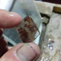 سنگ قیمتی شجر|جواهرات|رشت, سعدی (تختی)|دیوار