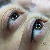 خدمات تخصصی فیبروز ابرو ،شیدینگ لب ،بن مژه،ریموو|خدمات آرایشگری و زیبایی|شیراز, معالی‌آباد|دیوار