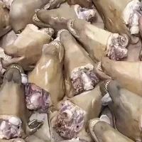 تمیزکردن کله پاچه سیرابی گوسفند