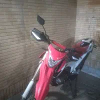 تریل فلات نیوفیس