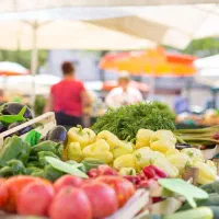 استخدام نیروبرای میوه فروشی