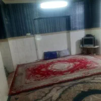 هم-خونه-میخوام-فوری-خونه-دارم