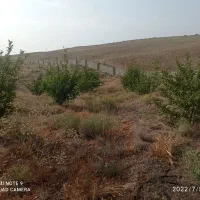 فروش باغشهری|فروش دفتر صنعتی، کشاورزی، تجاری|شیراز, کودیان|دیوار