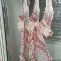 گوشت گوساله.گوسفند.لاشه.تیکه ای چرخ کرده و دنبه
