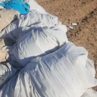 کاور زد سرما کشاورزی